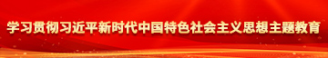 嘿嘿操逼小穴网学习贯彻习近平新时代中国特色社会主义思想主题教育